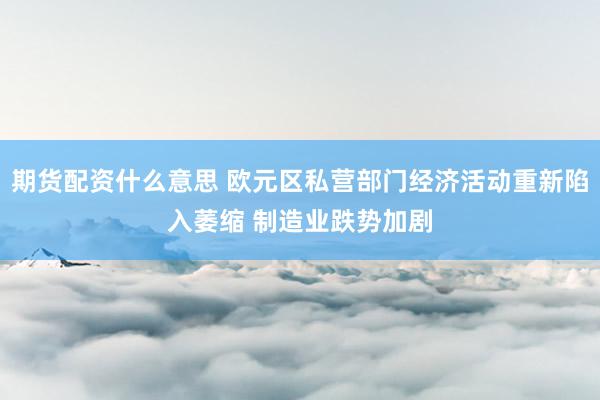 期货配资什么意思 欧元区私营部门经济活动重新陷入萎缩 制造业跌势加剧