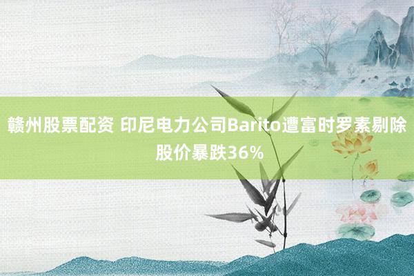 赣州股票配资 印尼电力公司Barito遭富时罗素剔除 股价暴跌36%