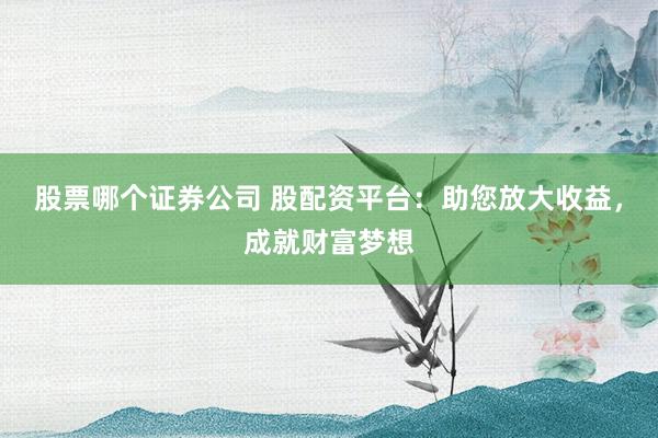 股票哪个证券公司 股配资平台：助您放大收益，成就财富梦想